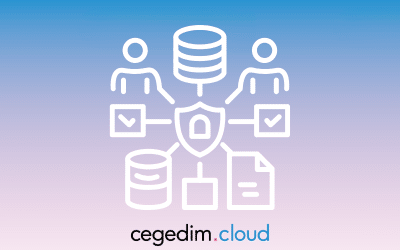 Bien gérer ses données :un enjeu majeur pour les entreprises